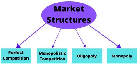 Understanding Market Dynamics: A
