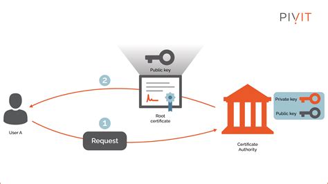 Public key, Market Cap, Capitalisation
